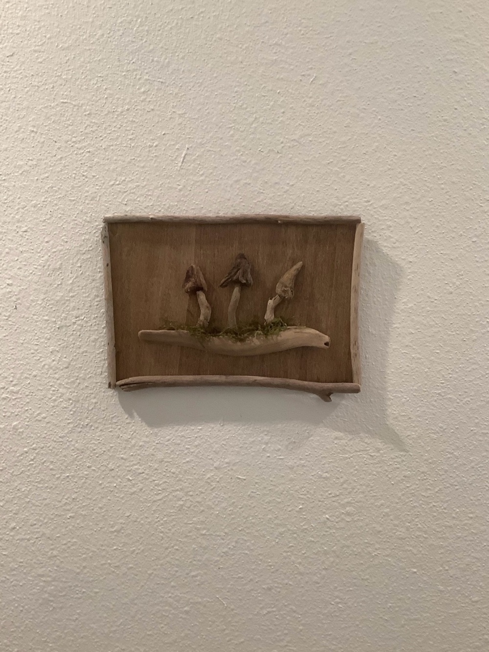 Driftwood Art, Driftwood Mushrooms ,Driftwood Mushrooms Plaque, Wall Art